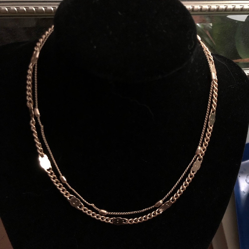 Two strand chain necklace
